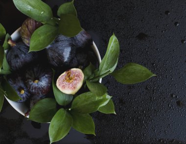 incir yaprakları siyah, seçici odak ile