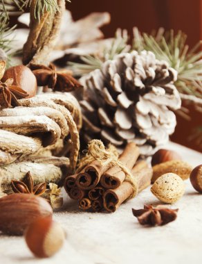 Noel kartı çam dalları ve dekorasyon