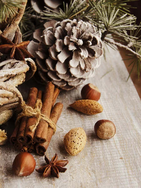 Noel kartı çam dalları ve dekorasyon