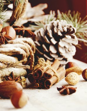 Noel kartı çam dalları ve dekorasyon