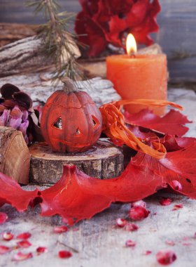 kurutulmuş çiçeklerle Cadılar Bayramı için dekoratif kabak