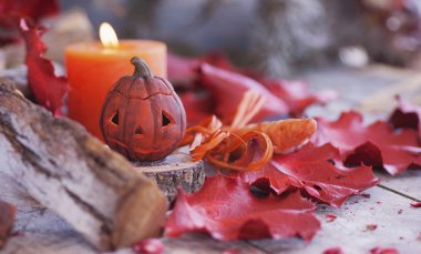 kurutulmuş çiçeklerle Cadılar Bayramı için dekoratif kabak