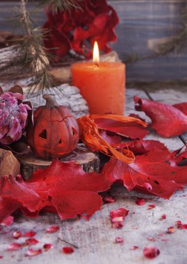 kurutulmuş çiçeklerle Cadılar Bayramı için dekoratif kabak