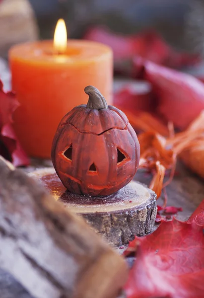 kurutulmuş çiçeklerle Cadılar Bayramı için dekoratif kabak