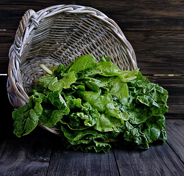 Big bunch of spinach — Stock Photo, Image