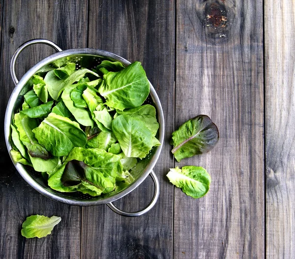 Pan with a green salad — Stock Photo, Image