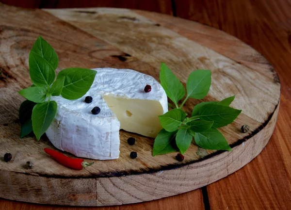 Pedaço de queijo com komamber manjericão em uma tábua de madeira — Fotografia de Stock