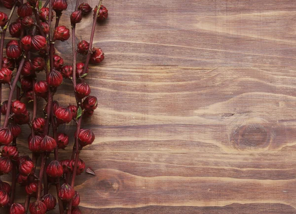 Flores rojas exóticas sobre un fondo de madera —  Fotos de Stock