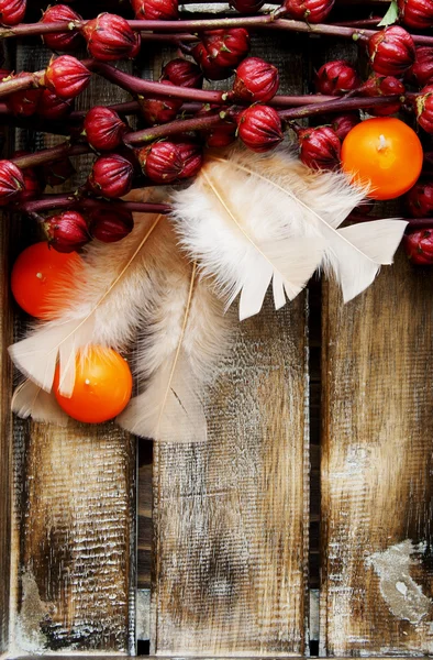 Flores de frutas exóticas con velas y plumas — Foto de Stock