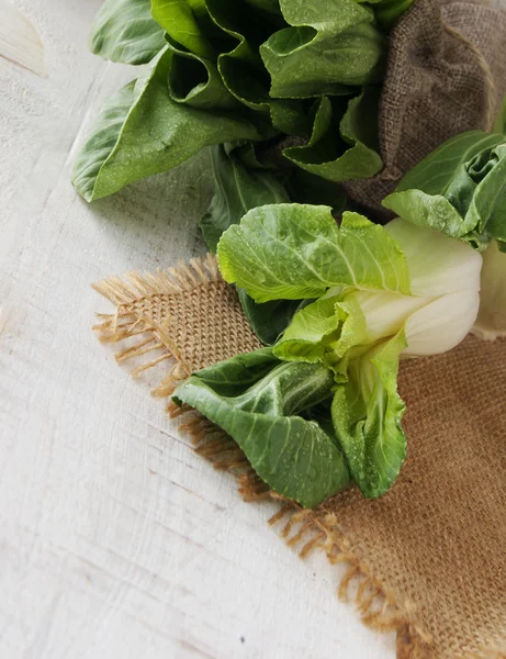 Baby bok choy on a wooden table — Stock Photo, Image