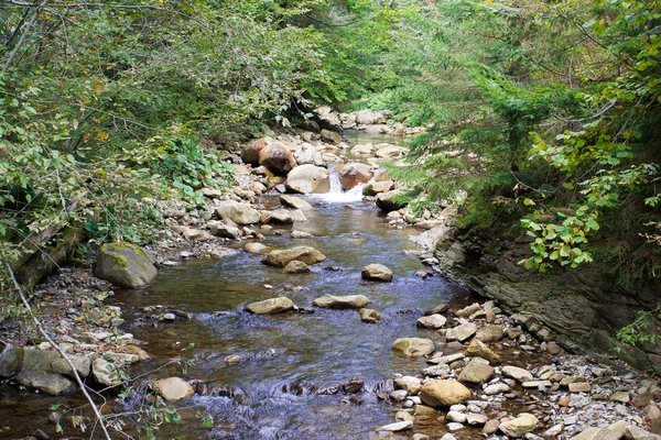 Dağ nehri