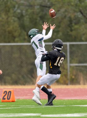 İnanılmaz sporcular, rekabetçi bir futbol maçında harika yakalayıp koşuyor.