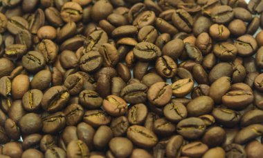 Taze kavrulmuş kahve çekirdeği.