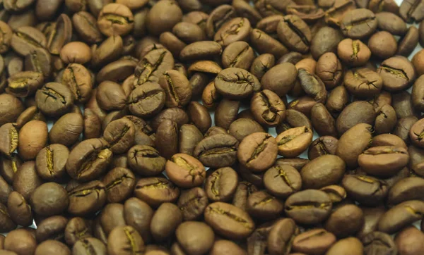 Taze kavrulmuş kahve çekirdeği.