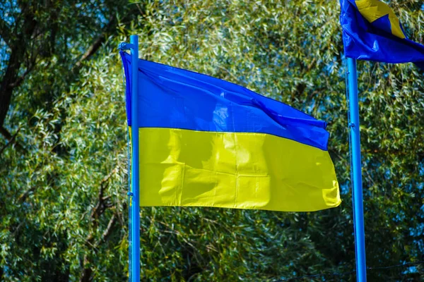 Ukrajinská Vlajka Skládá Dvou Stejných Vodorovných Pruhů Modré Žluté — Stock fotografie