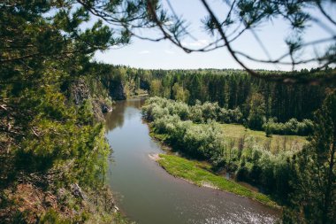 Nehir ormandaki tayganın içinden akar, yeşil orman rezervuarı, yaz manzarasını sarar.