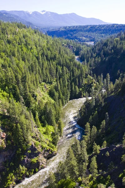 Moyie річка ущелини Північний штат Айдахо — стокове фото