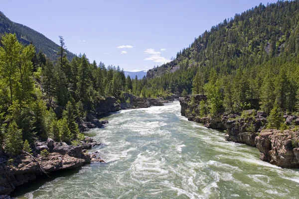 Rivière Kootenai Nord-Ouest Montana — Photo