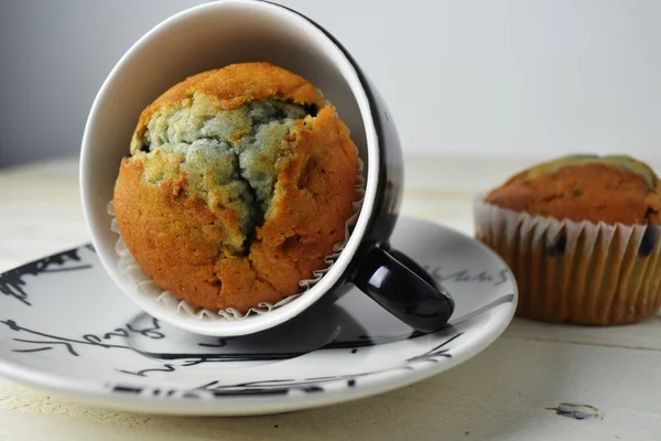 Muffin ai mirtilli — Foto Stock