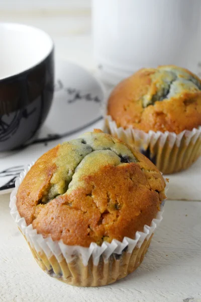 Muffin ai mirtilli — Foto Stock