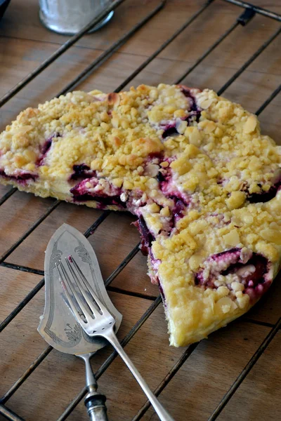 Plum cake — Stock Photo, Image