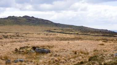 Dartmoor manzara, İngiltere