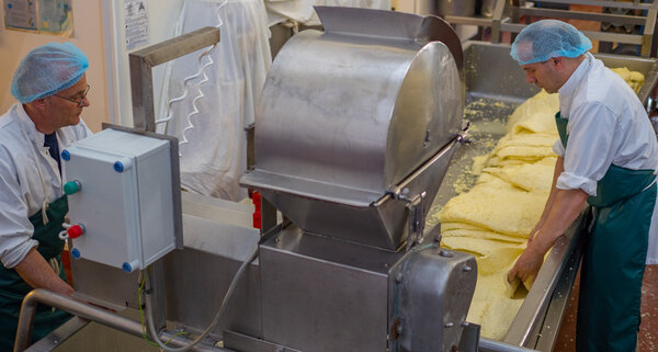 Men processing cheese through a mill