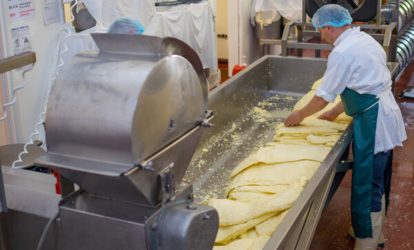 Men processing cheese through a mill