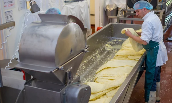 Erkekler peynir fabrikası ile işleme
