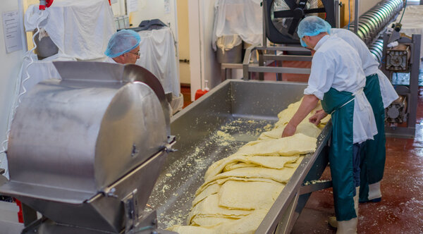 Men processing cheese through a mill