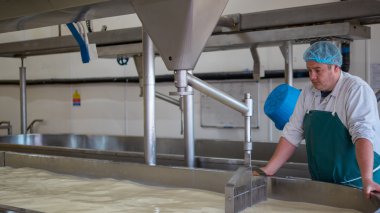 Yapma lor peynir fabrikası çalışan