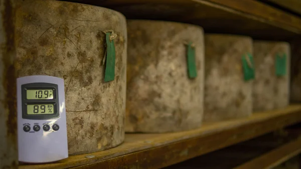 很多奶酪车轮被存储在一个奶酪大教堂 — 图库照片