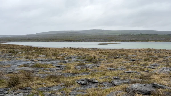 Escarpado paisaje de Burren en Irlanda —  Fotos de Stock