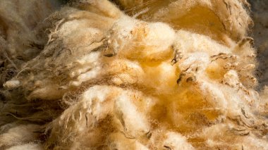 Yün doku arka planı için.