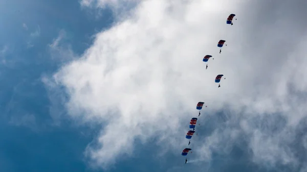 CORNWALL, ENGLAND, UK - JUNE 10,2016 : RAF Falcons Parachute Team at Royal Cornwall — Stock Photo, Image