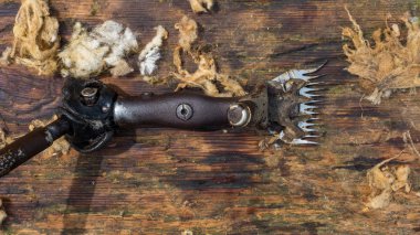 old fashion sheep shearing clippers clipart