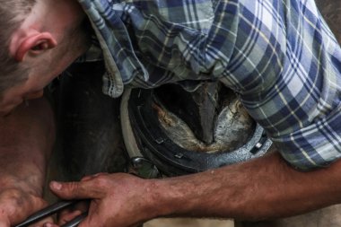 Siyah smith smithing at Ayakkabı