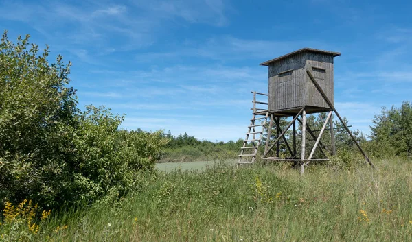 Eingeschlossener Rotwildbestand Aus Holz Auf Einer Wilden Wiese Mit Büschen Stockbild