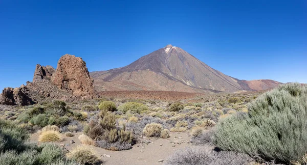 Volcanic Landscape Bushes Mount Teide Island Tenerife Canary Islands Cloudless — Stock Photo, Image