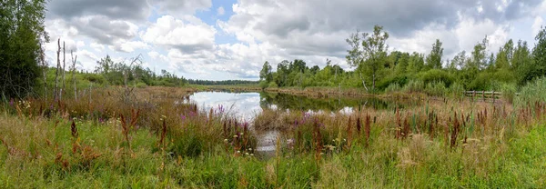 Almanya, Villingen-Schwenningen yakınlarındaki Schwenninger Moos Panoraması.