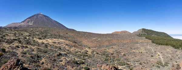 Landscape Teide National Park Island Tenerife Canary Islands Spain East — Stock Photo, Image