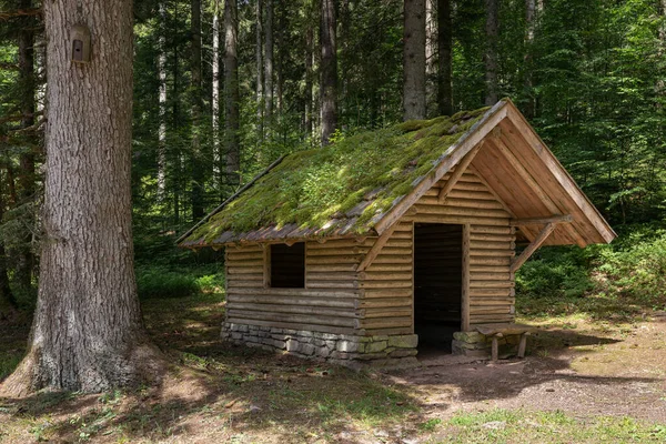 Cabaña Madera Cubierta Musgo Bosque Refugio Sauteich Htte Cerca Freudenstadt — Foto de Stock