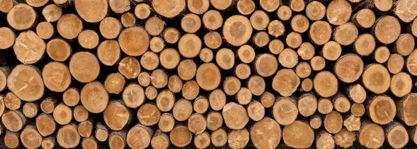 Stos Piłowanych Pni Drzew Panoramicznym Zbliżeniu Tło Przemysłu Drzewnego — Zdjęcie stockowe