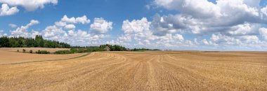 Picturesque panoramic stubble field with cloudscape and distant barn in sunny summer clipart