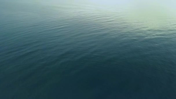 Imágenes de drones de la costa atlántica de Portugal en la zona de Ponda da Piedade. stand up paddle turismo. — Vídeos de Stock