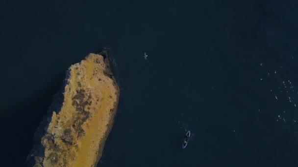 Imagini de la o dronă de caiac plutind pe lângă o canmă maro în ocean — Videoclip de stoc