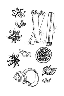 El çizimi vektör çizimi. Turuncu, tarçın, kişniş, karanfil, badian. Siyah çizgi. 