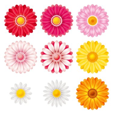 Çiçeğin 3 boyutlu çizimi. Bir simge seti.