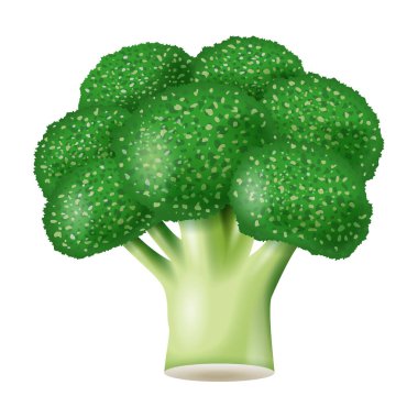 Üç boyutlu brokoli çizimi. Beyaz arkaplan.