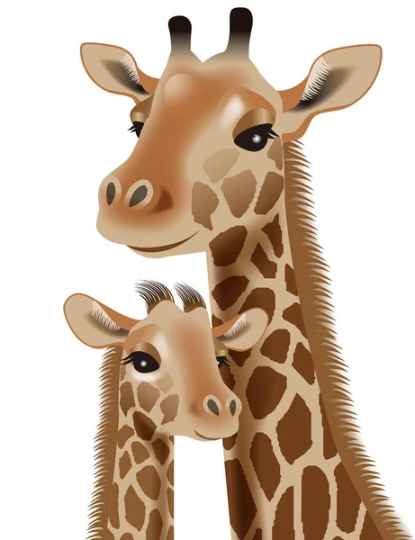 Zürafa Ebeveyni Çocuğu Illüstrasyon — Stok fotoğraf